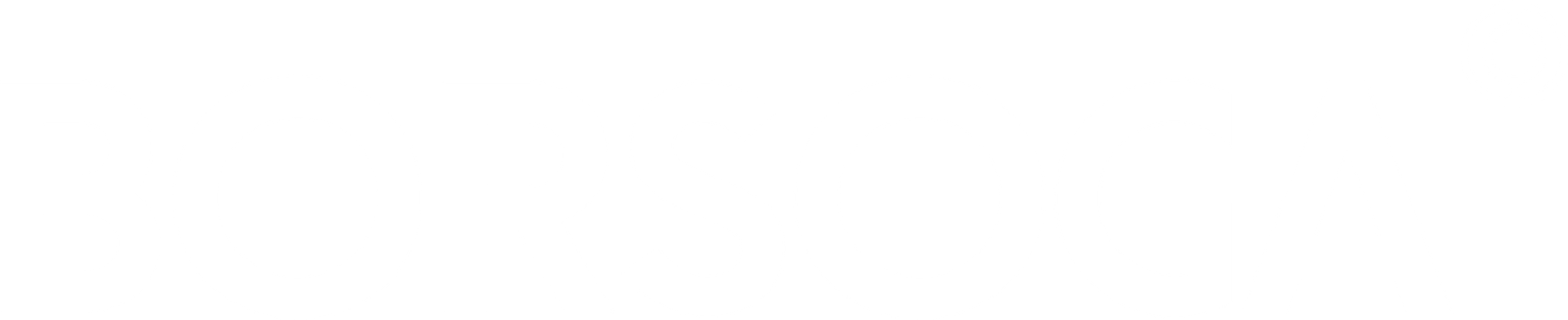 Borsoga